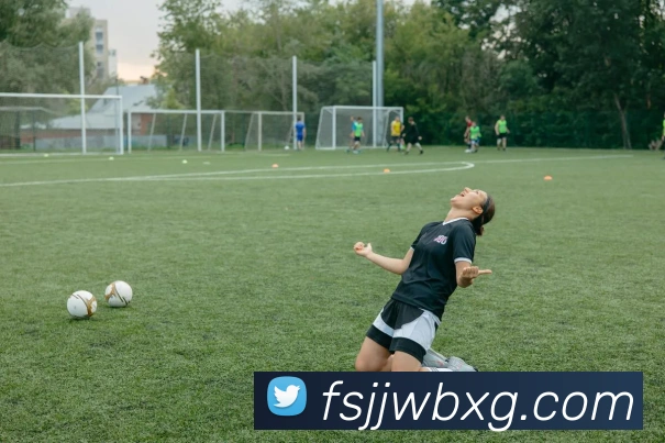 J9集团平台生态图