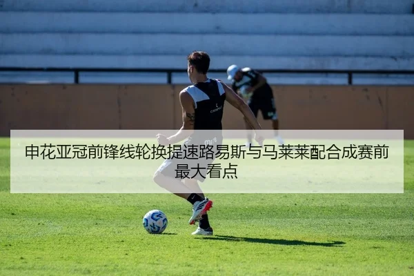 申花亚冠前锋线轮换提速路易斯与马莱莱配合成赛前最大看点
